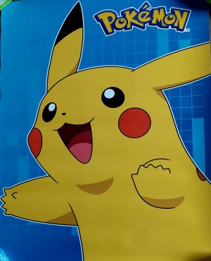 POKEMON