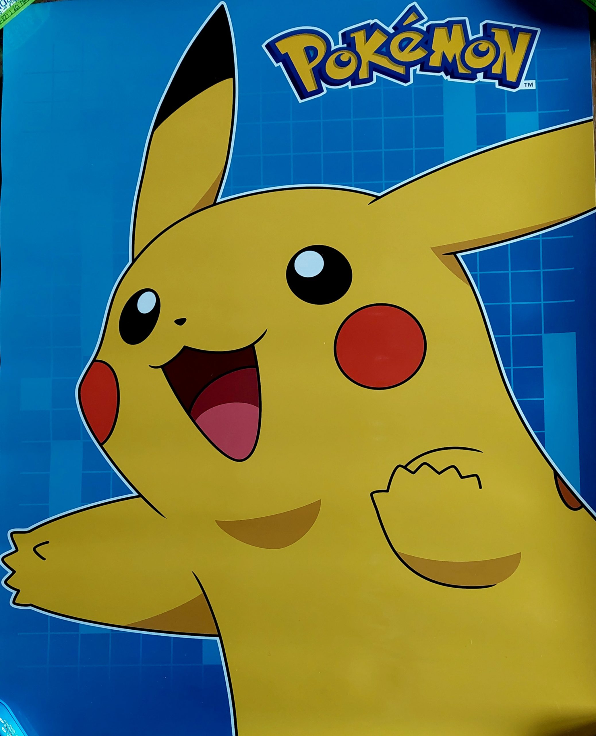 POKEMON