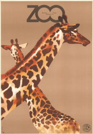 Affiche représentant plusieurs girafes stylisées dans une composition minimaliste pour le zoo de Varsovie, réalisée par Waldemar Świerzy. Poster depicting several stylized giraffes in a minimalist composition for Warsaw Zoo, created by Waldemar Świerzy.
