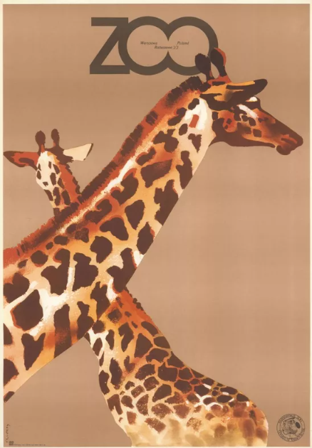 Affiche représentant plusieurs girafes stylisées dans une composition minimaliste pour le zoo de Varsovie, réalisée par Waldemar Świerzy. Poster depicting several stylized giraffes in a minimalist composition for Warsaw Zoo, created by Waldemar Świerzy.